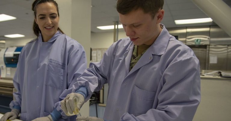 Two researchers in lab coats and gloves working with samples at a laboratory bench