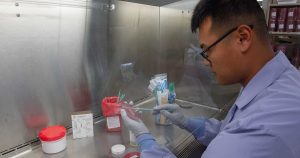 Researcher working with sample tubes and a pipette inside a laboratory safety cabinet