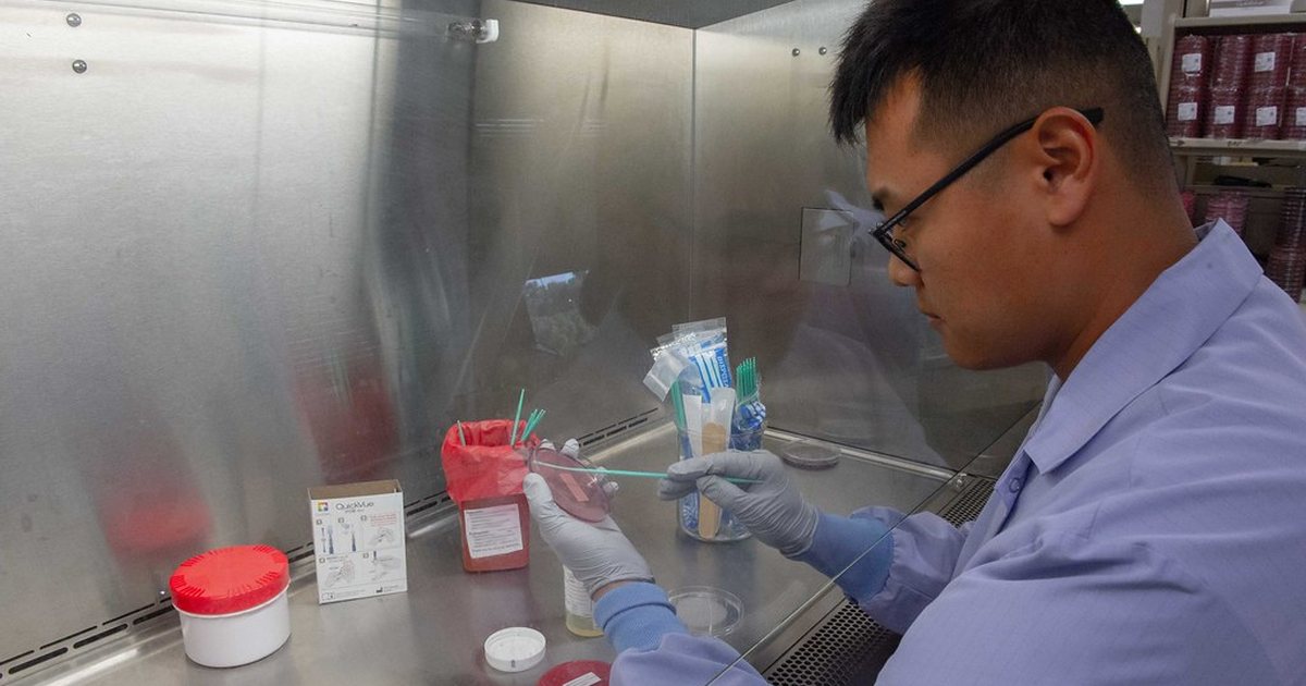Researcher working with sample tubes and a pipette inside a laboratory safety cabinet