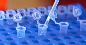 Pipette tip dispensing liquid into a row of open microcentrifuge tubes on a blue laboratory rack