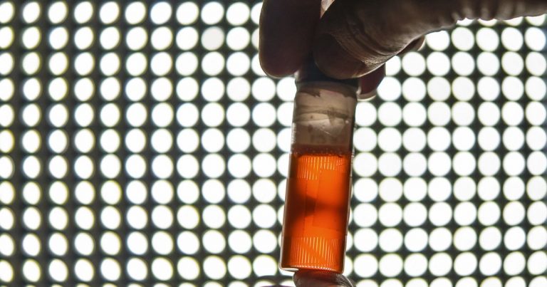Gloved hand holding a small vial of amber colored solution up against an illuminated laboratory light panel