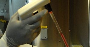 Gloved hand operating a pipette controller with a serological pipette inside a laboratory biosafety cabinet