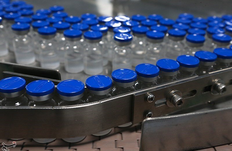 Blue capped pharmaceutical vials travelling along a stainless steel filling line
