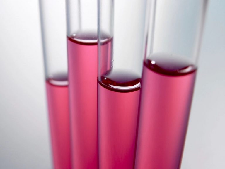 Four glass laboratory test tubes containing a pink solution against a white background