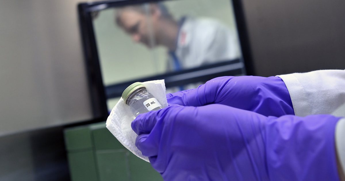 Researcher in purple nitrile gloves holding and inspecting a labeled sample vial