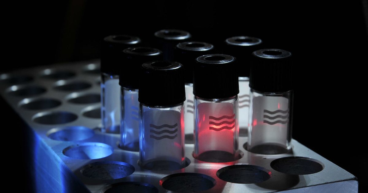 Row of capped sample vials held in a metal laboratory rack under cool blue lighting
