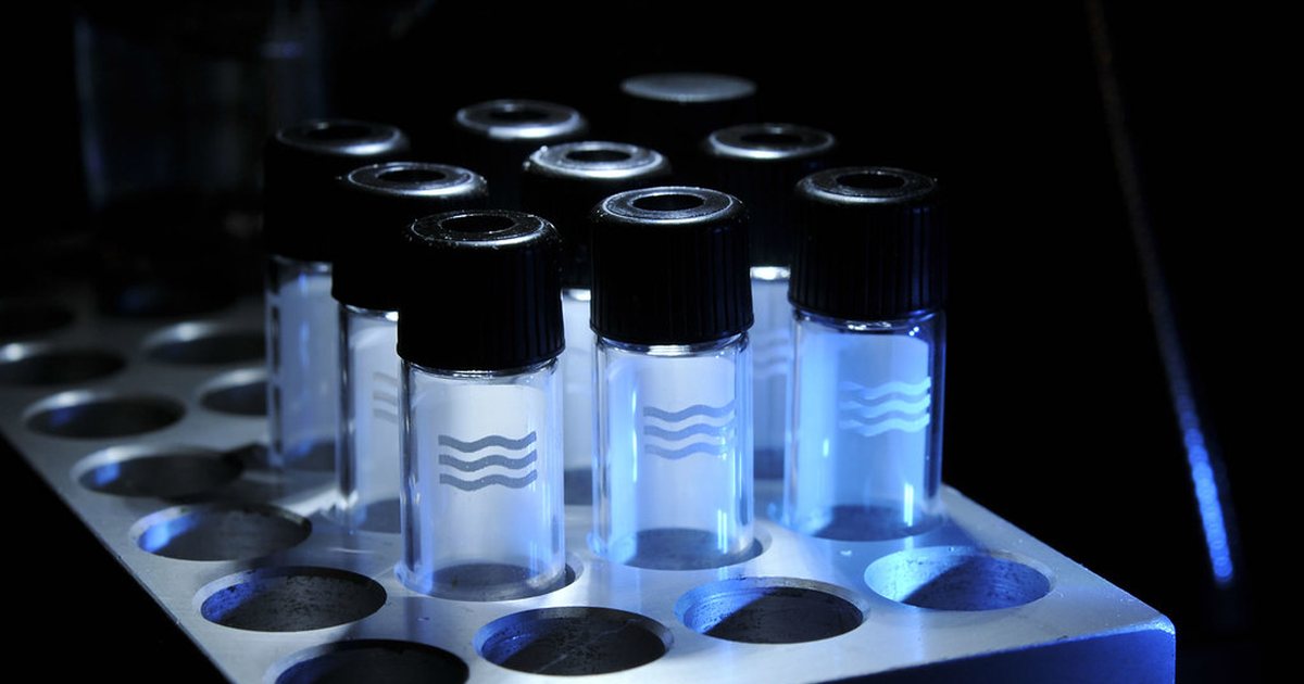 Clear glass sample vials standing in a metal laboratory rack lit from behind