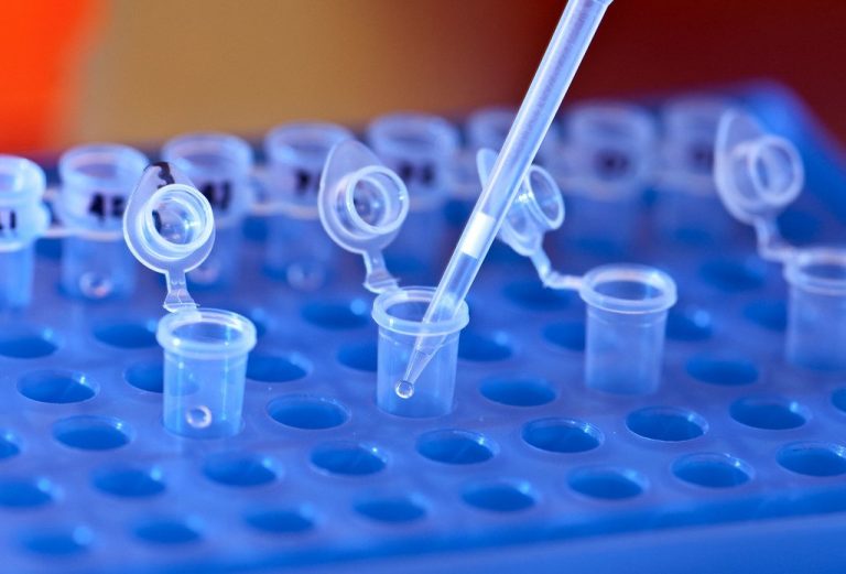 Gloved researcher pipetting a clear sample into tubes on a blue laboratory rack