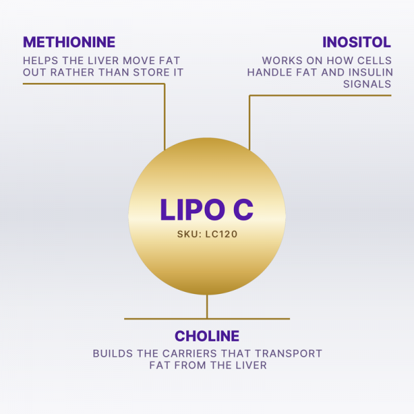 What is in Lipo C 10ml (SKU LC120): each component and what it does