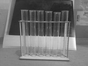 A rack of glass test tubes photographed in black and white