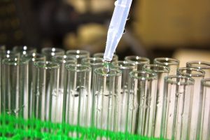Pipetting a sample into a row of glass test tubes in a laboratory